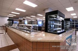 Riverview High School Cafeteria - Sarasota, FL